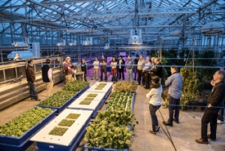 Photo of Neil Mattson giving a tour at the Cornell greenhouses