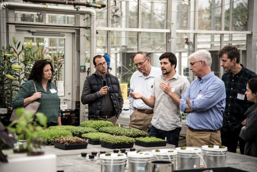 Cornell Group Explores Future of Indoor Farming