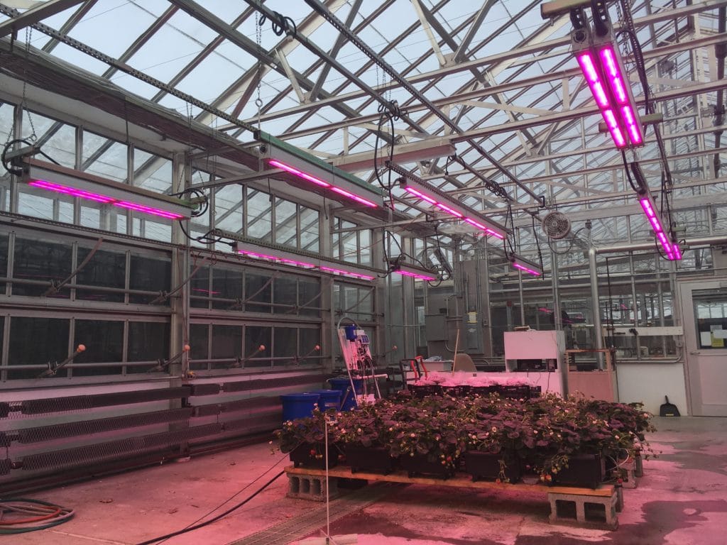 How can controlled-environment growers improve energy efficiency and grow light optimization?
