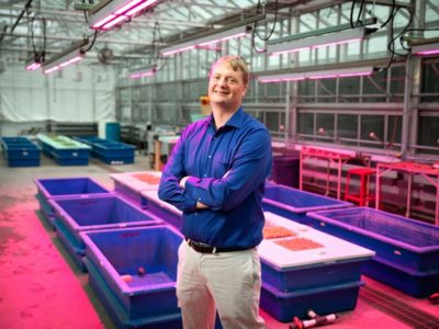 Growing the World’s Food in Greenhouses