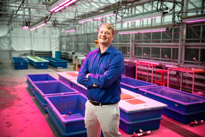Neil Mattson at Cornell University Greenhouses
