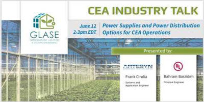Power supplies and power distribution options for CEA
