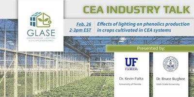 Effects of lighting on phenolics production in crops cultivated in CEA systems