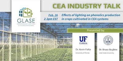 Effects of lighting on phenolics production in crops cultivated in CEA systems