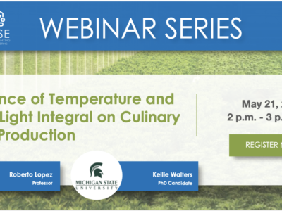 Influence of Temperature and Daily Light Integral on Culinary Herb Production