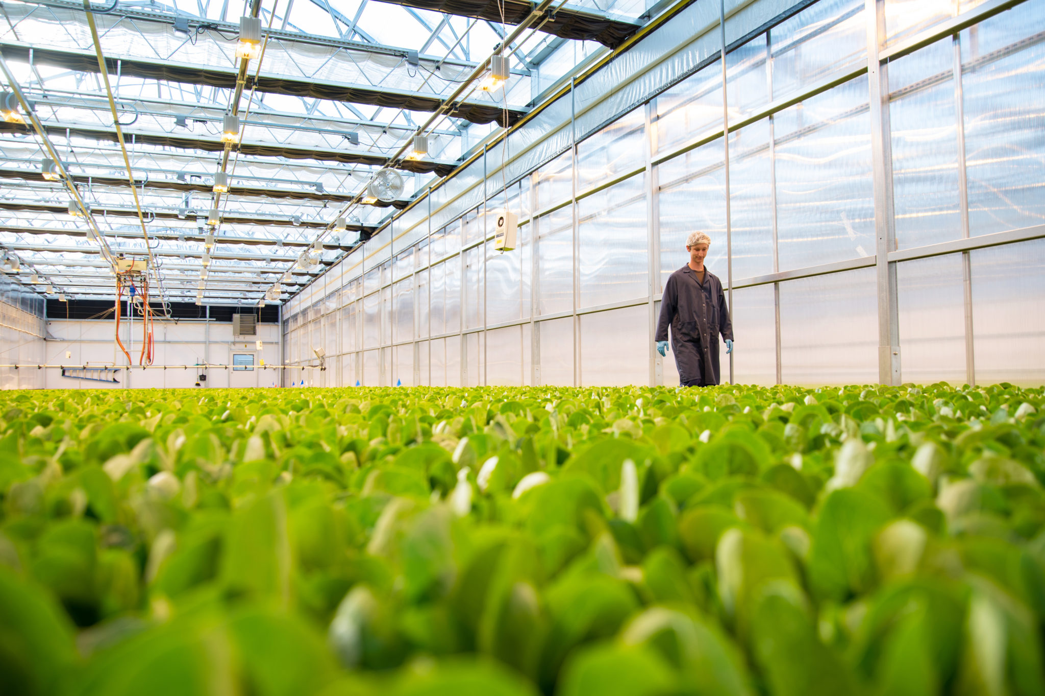 Local Bounti Sets Second Quarter 2026 Earnings Date