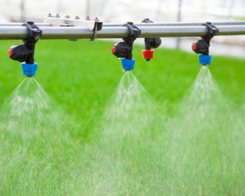 Greenhouse watering system in action Ecology World Environment Day CSR Seedling Go Green Eco Friendly Earth Health Care Food Garden New Life concept.