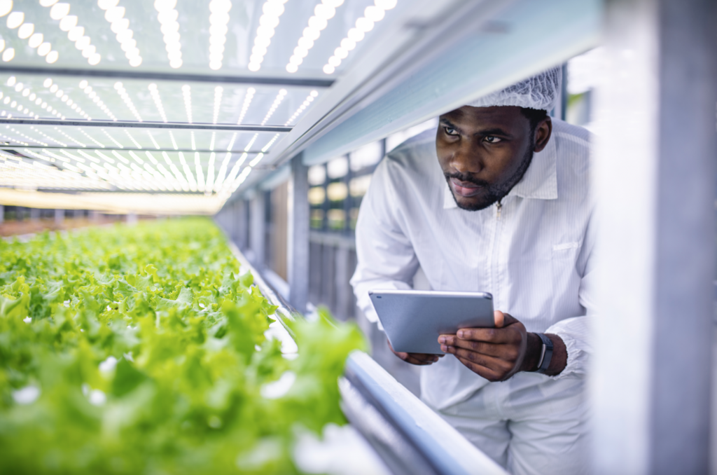 Growing Justice: Expanding Workforce Pathways in Controlled Environment Agriculture