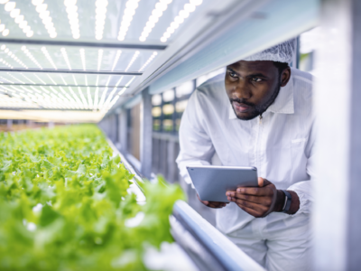 Growing Justice: Expanding Workforce Pathways in Controlled Environment Agriculture