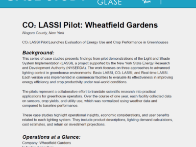 CO2 LASSI Case Study