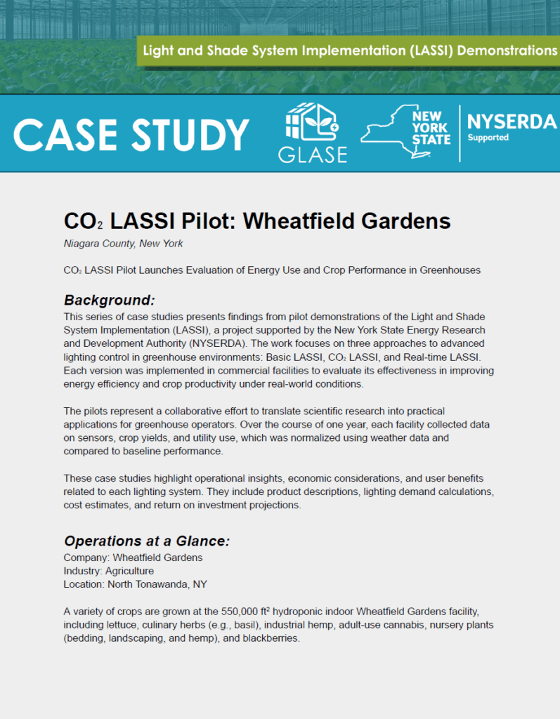 CO2 LASSI Case Study