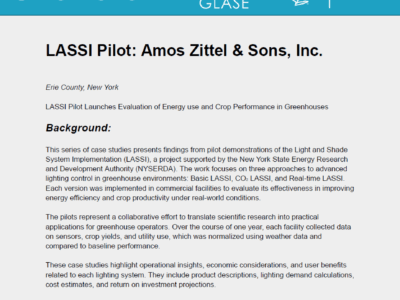 LASSI Case Study