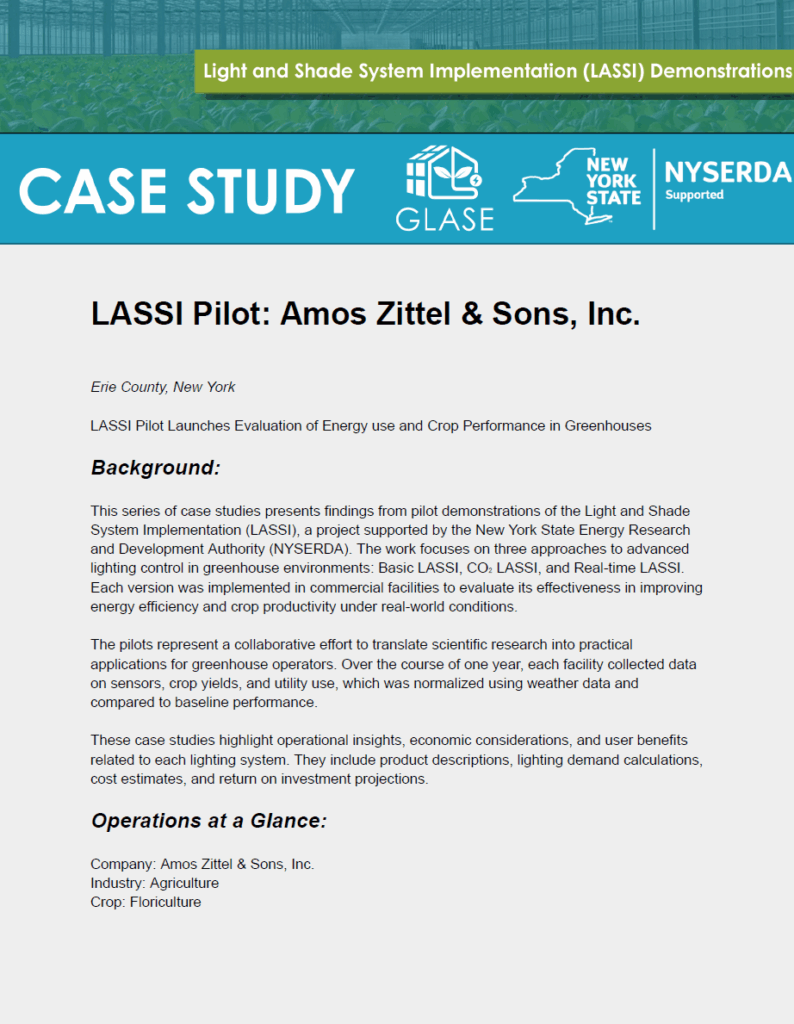 LASSI Case Study