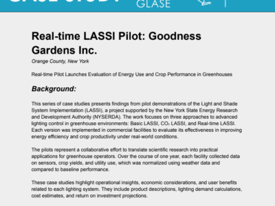 Real-Time LASSI Case Study