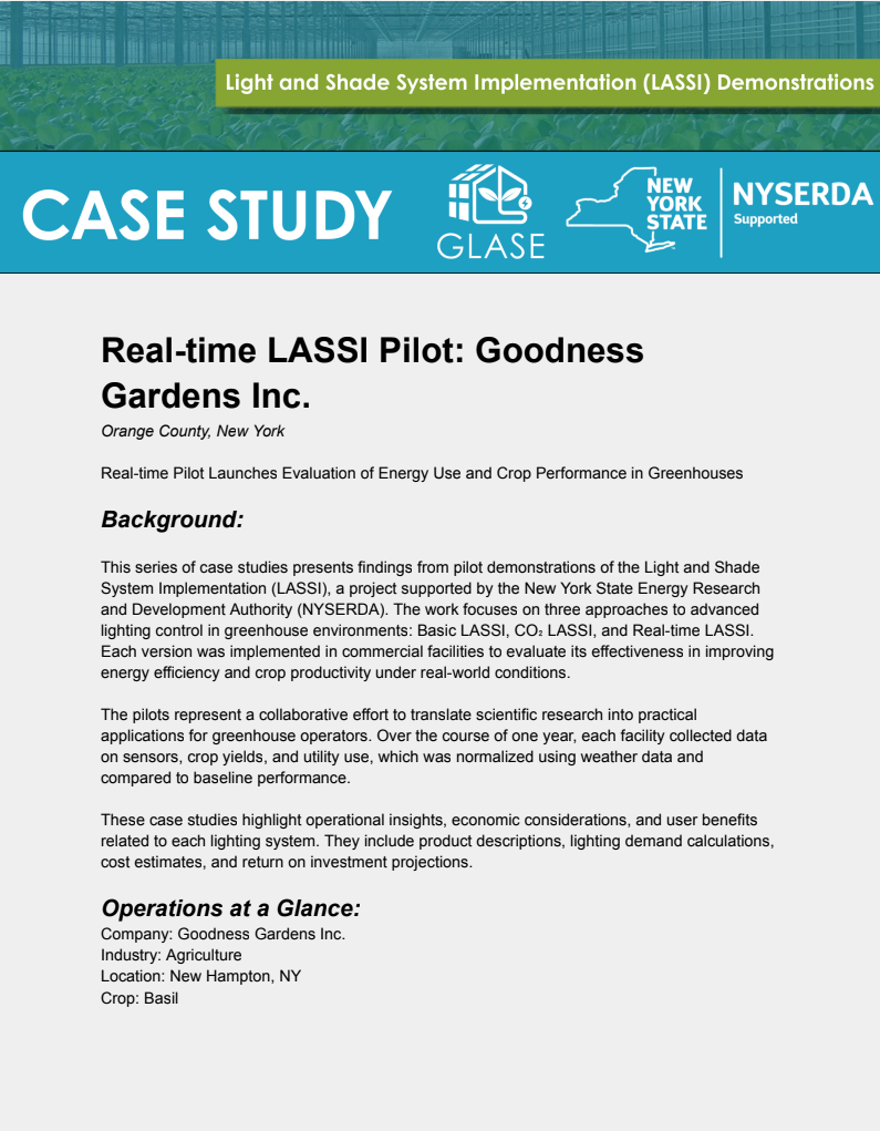 Real-Time LASSI Case Study